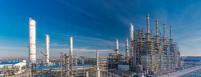 �I�����F̼��̼�ľC�������Ŀ��